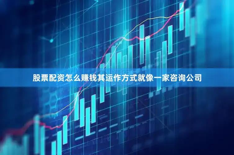 股票配资怎么赚钱其运作方式就像一家咨询公司