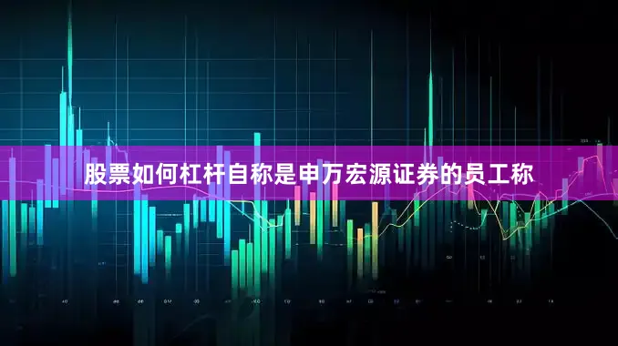 股票如何杠杆　　自称是申万宏源证券的员工称