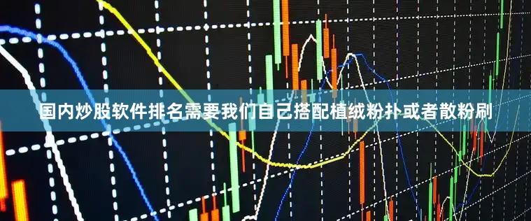 国内炒股软件排名需要我们自己搭配植绒粉扑或者散粉刷